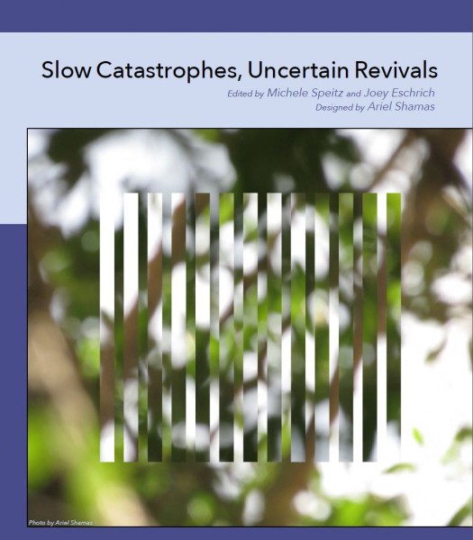 Slow Catastrophes, Uncertain Revivals Cover
